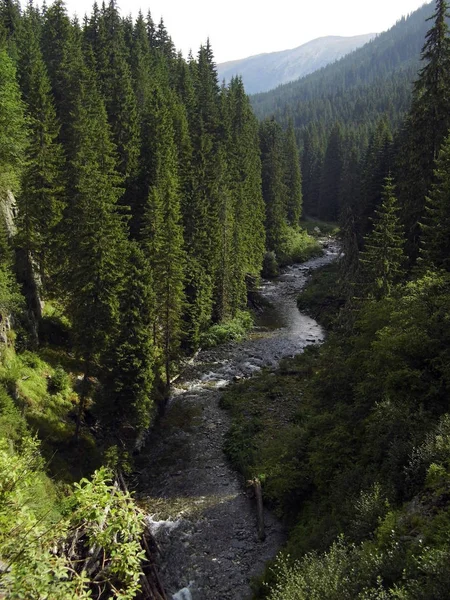 Gyönyörű Vad Hegyi Folyó — Stock Fotó