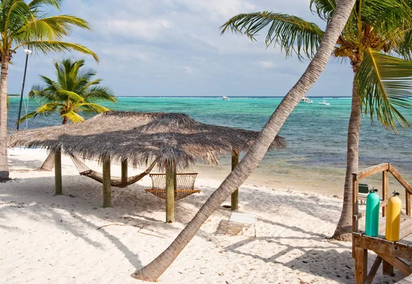Praia Little Cayman Island — Fotografia de Stock