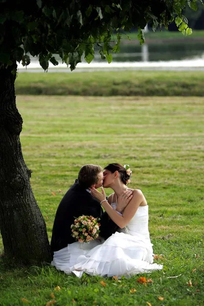 Νιόπαντρο Ζευγάρι Στην Αγάπη Φιλιά Κάτω Από Δέντρο Στο Χωράφι — Φωτογραφία Αρχείου