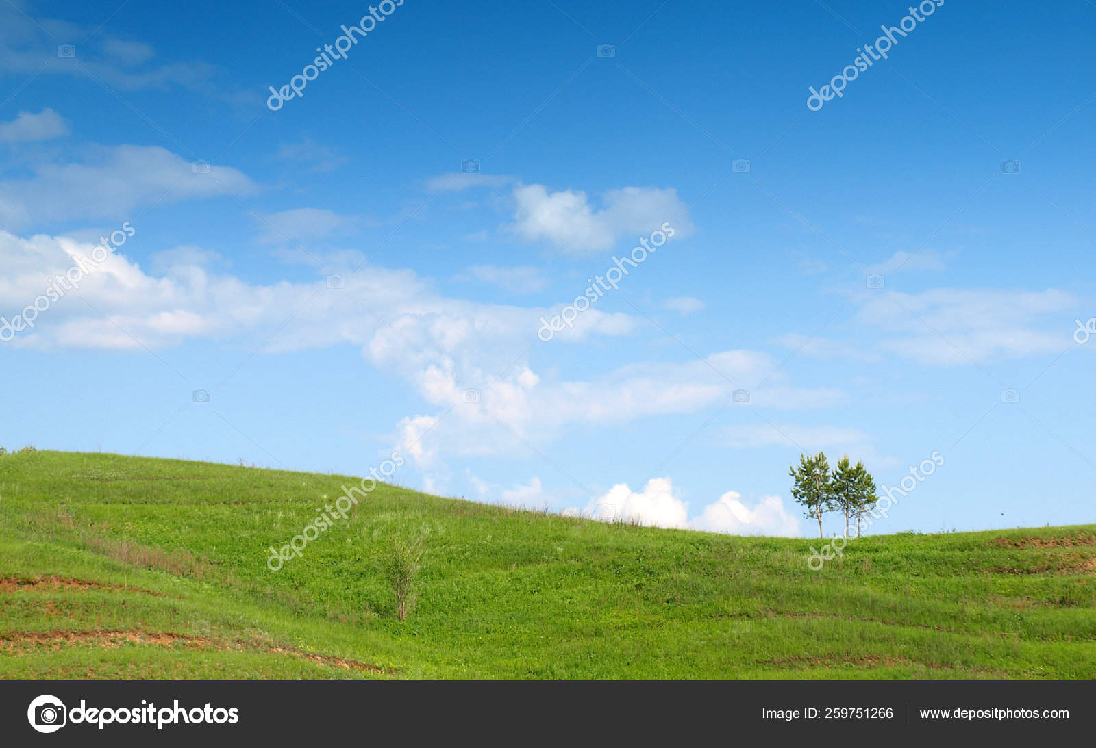 Schone Sommer Landschaft Blick Stockfoto C Yayimages
