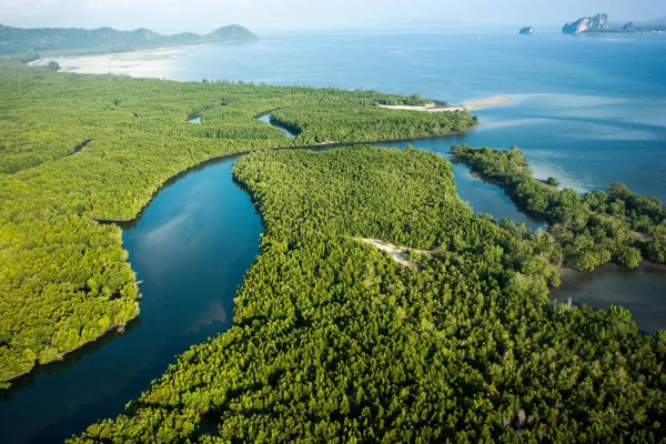 Letecký Pohled Mangrovové Lesy Otevřené Moře — Stock fotografie