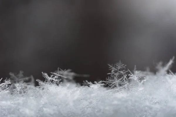 Buz Crsitals Bulanık Arka Plan Ile Uyumlu — Stok fotoğraf