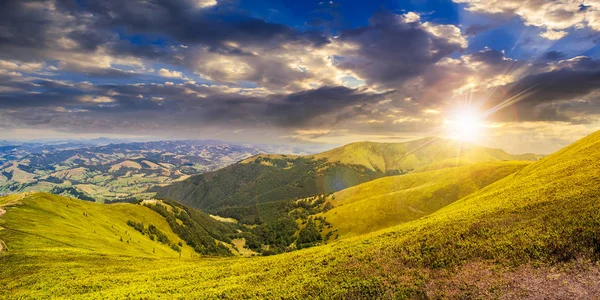 暖かい夕日の光の高い山の草の丘の中腹の草原にこわめの森とパノラマの夏の風景 — ストック写真