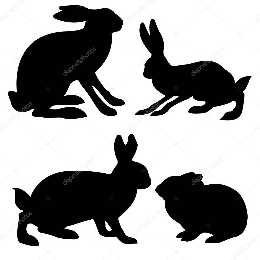 Silhouettes hare and rabbit on white background