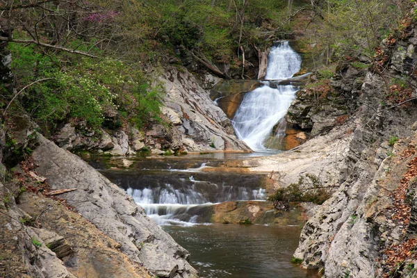 Cours Eau Cascades Dans Parc National Des Grands Lacs — Photo