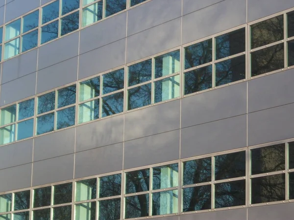 Edificio Oficinas Gris Cristal Con Árbol Cielo Azul Reflejado Vidrio — Foto de Stock