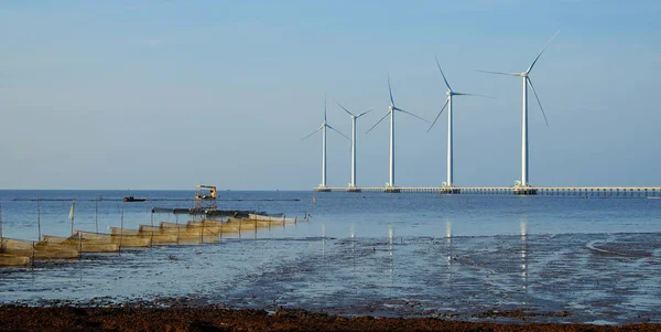 薄寮风力发电厂在越南湄公河三角洲的风力发电机组 上午在 Baclieu 海边风车 使越南工业清洁能源 — 图库照片