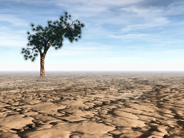 Renderização Uma Árvore Josué Isolada Deserto Árido — Fotografia de Stock