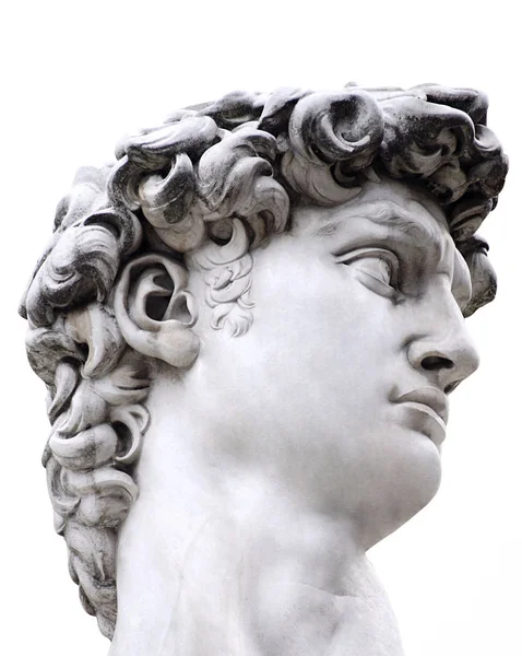 ミケランジェロ デビッド クリッピングパスを白で隔離され フィレンツェからの有名な像の頭部 — ストック写真