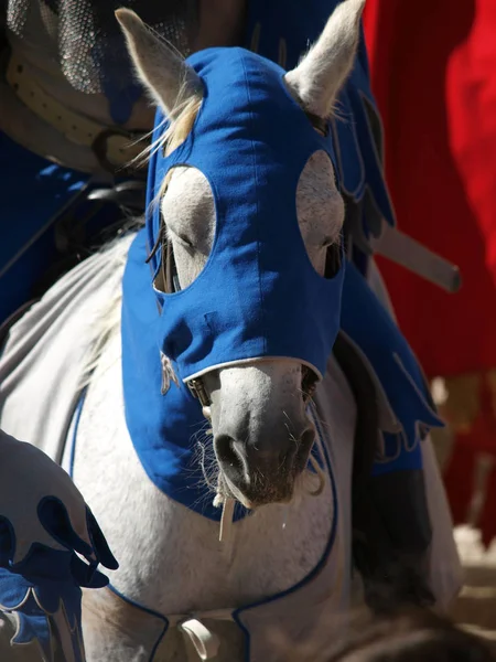 アレッツォ サラセン馬上槍試合と呼ばれる毎年恒例の中世祭 — ストック写真