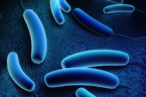 Ilustración Digital Bacteria Coli Fondo Color — Foto de Stock