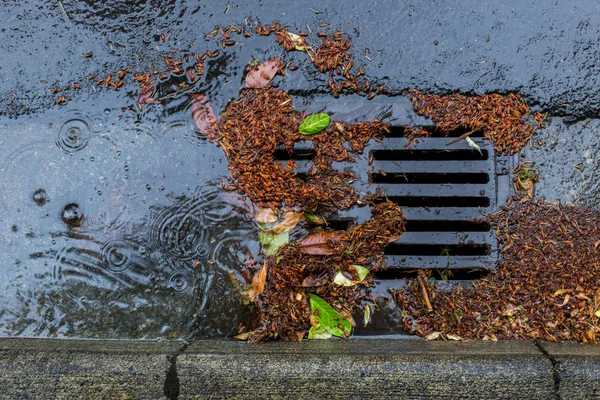 Dreno Tempestade Bloqueado Durante Uma Tempestade — Fotografia de Stock