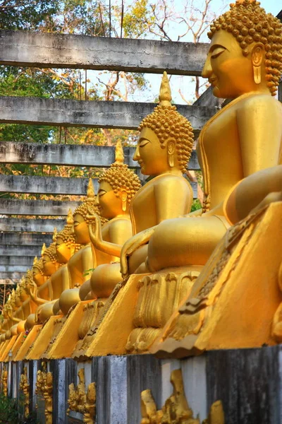 Samling Golden Buddha Staty Thailand Temple — Stockfoto