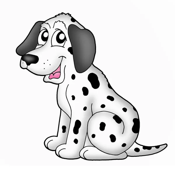 Color Illustration Little Dalmatin — Stock Photo, Image
