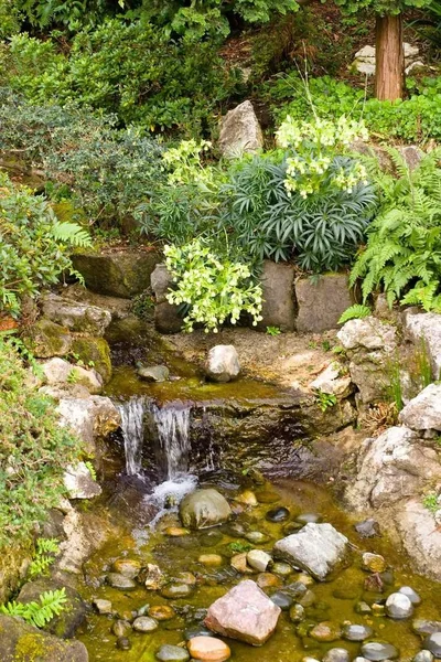 Один Сад Традиционный Японский Сад Саратоге Штат Калифорния Сша Самый — стоковое фото