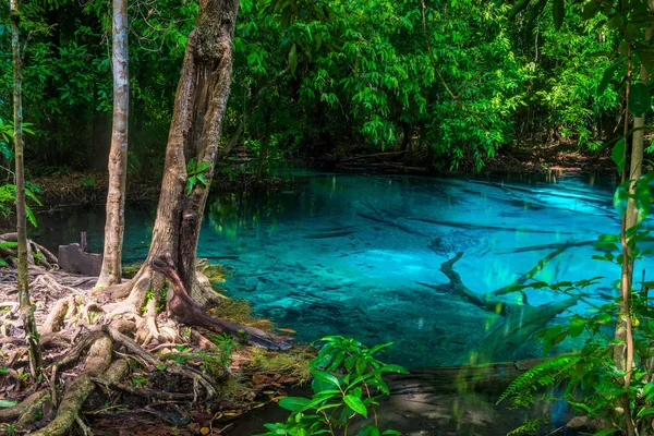 国立公園内のタイ クラビ県の純粋な青い湖 — ストック写真