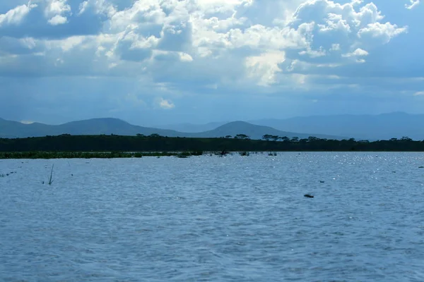 Prachtig Rustig Uitzicht Lake Naivasha Afrika Kenia — Stockfoto