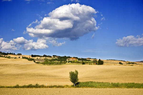 Пейзаж Вокруг Пьенцы Тоскане Италия — стоковое фото