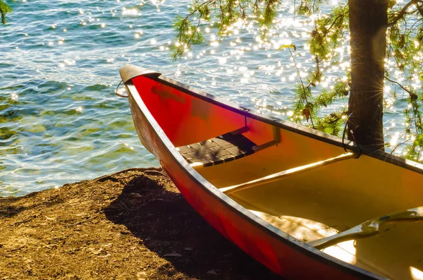 湖の水を立っているカヤック — ストック写真