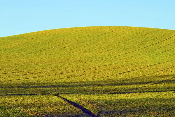 Landschaft Eines Grünen Hügels Unter Blauem Himmel — Stockfoto