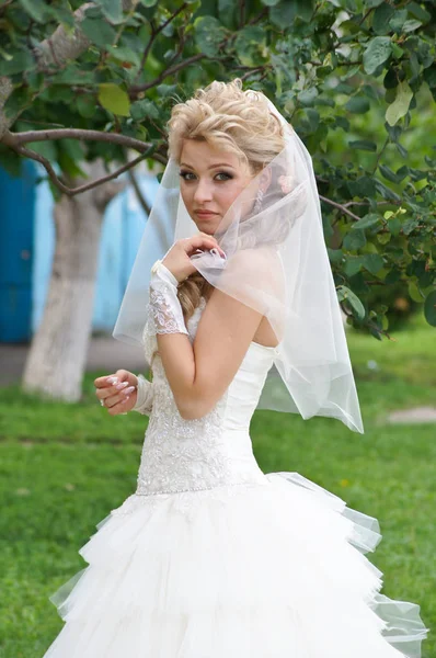 Bela Esposa Jovem Dia Casamento — Fotografia de Stock