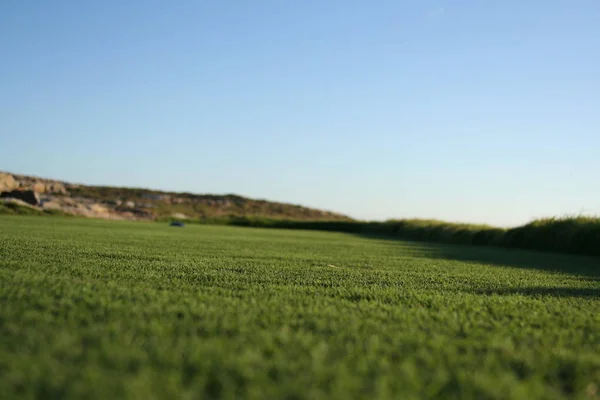 Campo Golf Hierba Verde — Foto de Stock