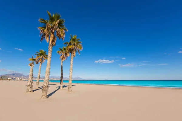 Pláže San Juan Alicante Palem Středozemního Moře Španělsku Valencie — Stock fotografie