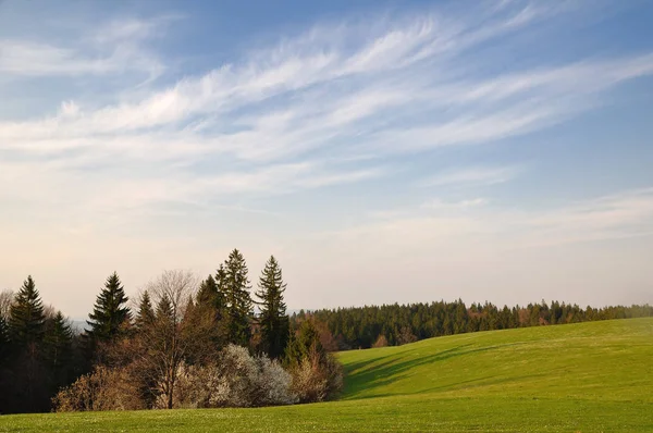 Schöne Grüne Wiese Ländlicher Landschaft Mit Frühlingsfarben — Stockfoto