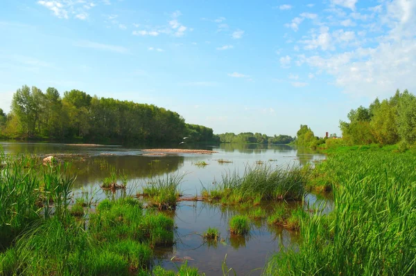 Hermoso Paisaje Verano Con Río — Foto de Stock