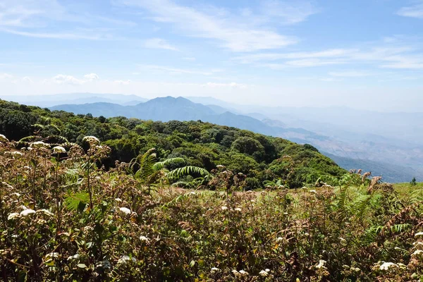 Vista Delle Montagne Kew Mae Pan Sentiero Naturalistico Punto Più — Foto Stock