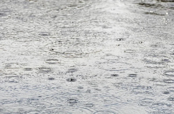 Gocce Pioggia Sulla Superficie Dell Acqua — Foto Stock