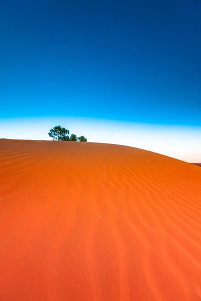 Outback Vermelho Ondulação Areia Duna Deserto Com Céu Azul — Fotografia de Stock