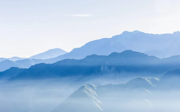Ködös Kék Hegyek 552 Belül Alishan Rekreációs Területe Tajvanból Hatálya — Stock Fotó