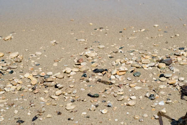 Assorted Small Rocks Lying Sandy Beach — Stock Photo, Image