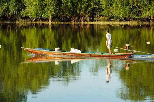 Piante Diverse Attenzione Selettiva — Foto Stock