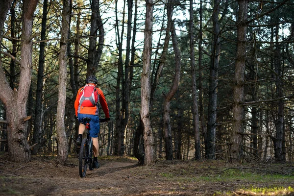 Kerékpáros Lovaglás Bike Trail Gyönyörű Fenyves Erdőben Egészséges Életmód Sport — Stock Fotó