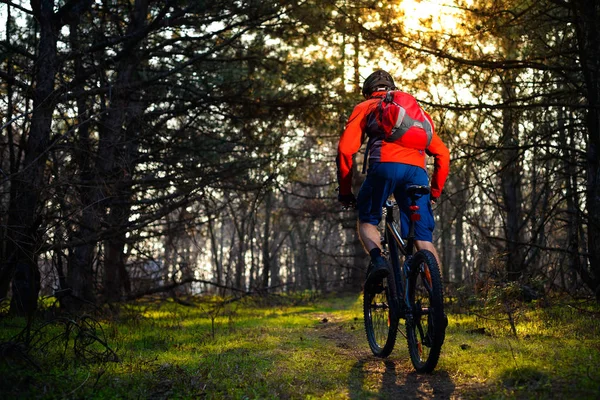 Ciclista Montando Bicicleta Sendero Hermoso Bosque Pinos Hadas Concepto Aventura — Foto de Stock