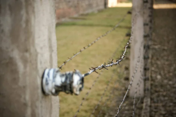 Polonya Cracow Yakın Birkenau Toplama Kampı — Stok fotoğraf