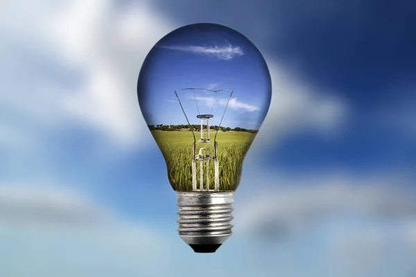 Ampoule Avec Paysage Intérieur Concept Environnemental — Photo