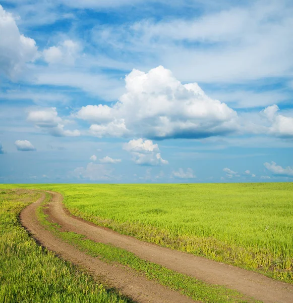Сільська Дорога Зеленій Траві Під Низькими Хмарами — стокове фото