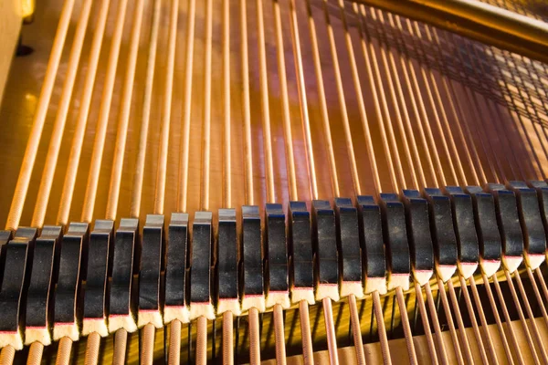 Imagen Piano Viejo Dentro Del Cuerpo — Foto de Stock