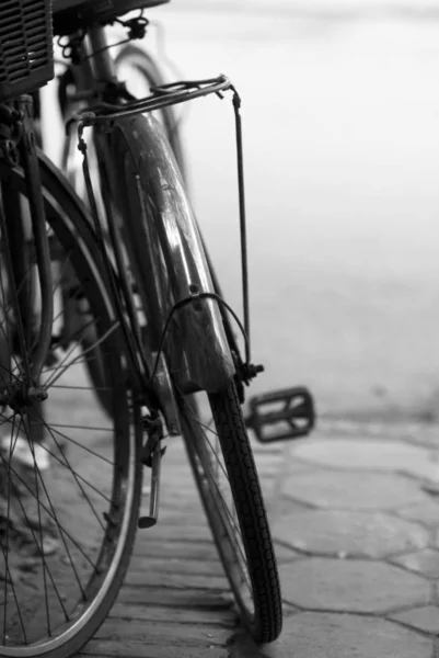 Δύο Παλιά Ποδήλατα Που Κλίνουν Ένας Εναντίον Του Άλλου Ρηχό — Φωτογραφία Αρχείου
