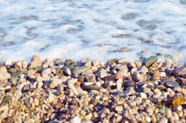 Beach Pebbles Black Sea Crimea Ukraine — Stock Photo, Image
