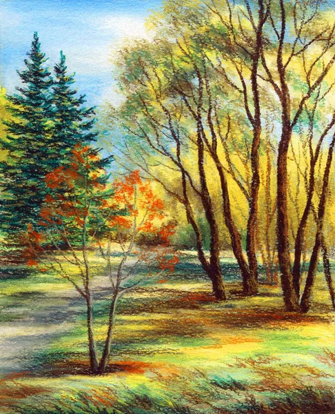 Resim Manzara Orman Sibirya Rusya Bir Pastel Bir Karton Çizim — Stok fotoğraf