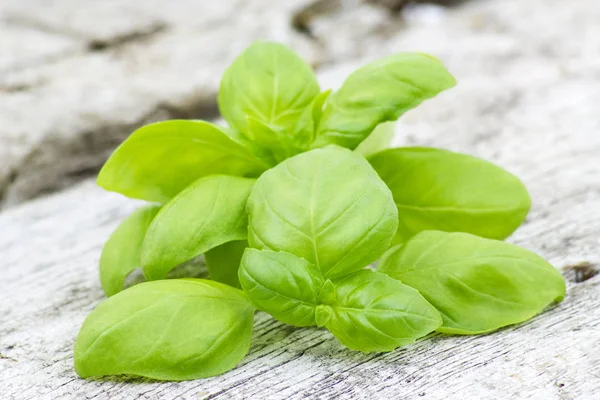 Verse Basilicum Oude Houten Achtergrond — Stockfoto