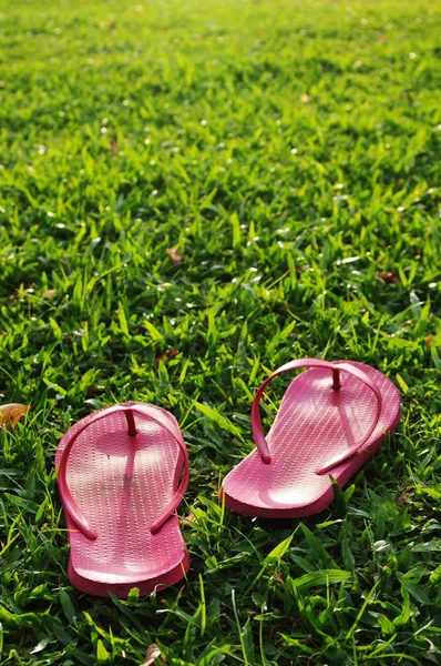 Par Zapatillas Quedan Campo Día Relajado — Foto de Stock