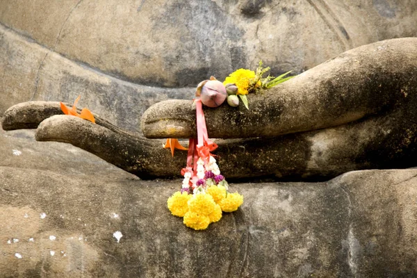 Χέρι Του Βούδα Κρατώντας Φρέσκα Λουλούδια Κοσουτάι Ιστορικό Πάρκο — Φωτογραφία Αρχείου
