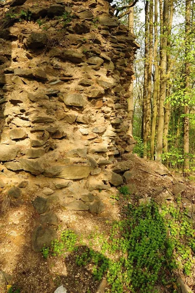 Ruiny Stary Nieznajomy Zamek Głęboko Lesie — Zdjęcie stockowe