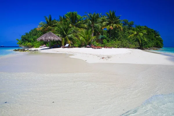 Paraíso Tropical Maldivas Con Palmeras Cielo Azul — Foto de Stock