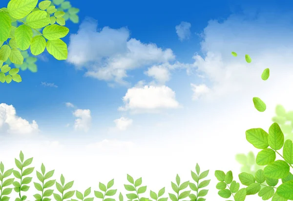 Зелене Листя Фоні Приємно Синє Небо — стокове фото